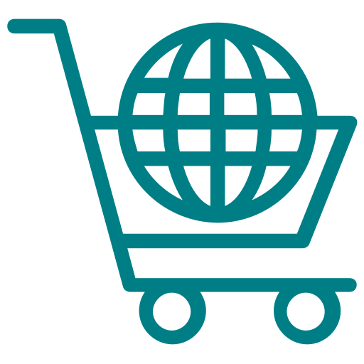 E-commerce Website Development Services